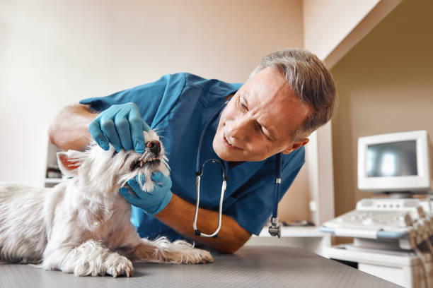 Best Emergency Denture Repair in Lucas, TX