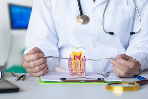 Best Broken or Chipped Tooth Repair in Lucas, TX